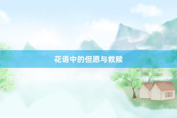 花语中的但愿与救赎