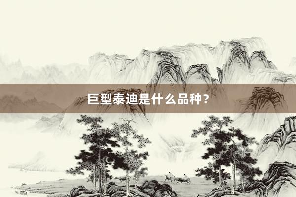 巨型泰迪是什么品种?