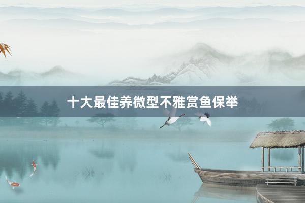 十大最佳养微型不雅赏鱼保举