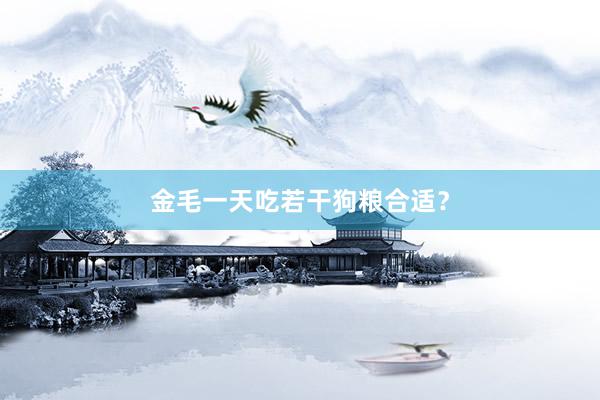 金毛一天吃若干狗粮合适？